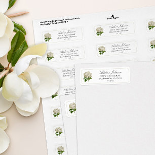 Rücksendeadresse für antikes Cream Hydrangea