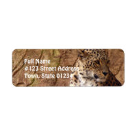Rücksendeadresse für beobachtete Leopard