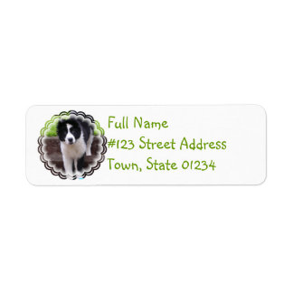 Rücksendeadresse für Border Collie
