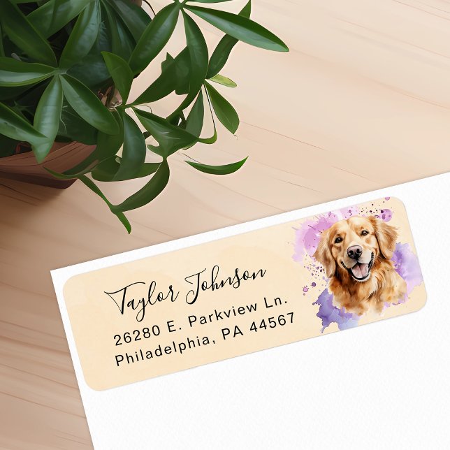 Rücksendeadresse für Golden Retriever (Von Creator hochgeladen)