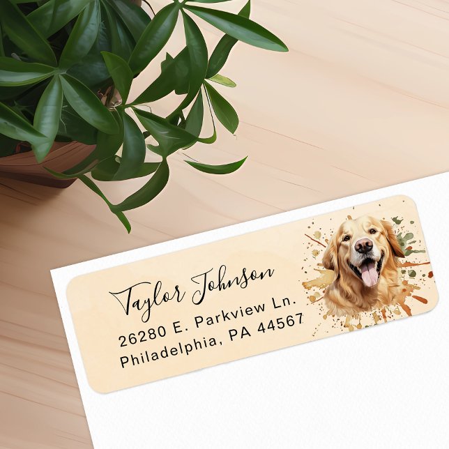 Rücksendeadresse für Golden Retriever (Von Creator hochgeladen)