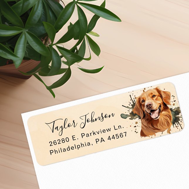 Rücksendeadresse für Golden Retriever (Von Creator hochgeladen)