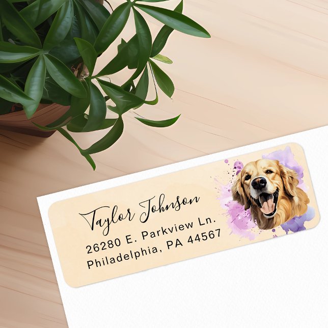 Rücksendeadresse für Golden Retriever (Von Creator hochgeladen)