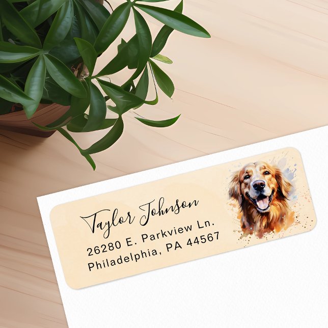 Rücksendeadresse für Golden Retriever (Von Creator hochgeladen)