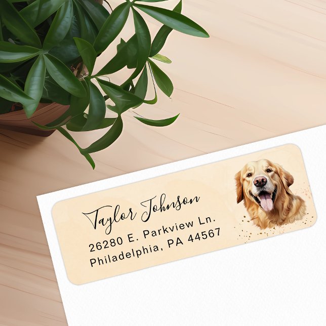 Rücksendeadresse für Golden Retriever (Von Creator hochgeladen)
