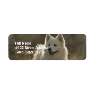 Rücksendeadresse für Samoyed Hunde