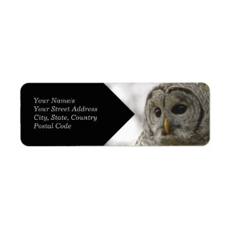 Rücksendeadresse für wild gehackte Owl Face