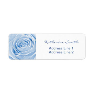 Rücksendeadresse Natur Blumenflora Foto Blaue Rose