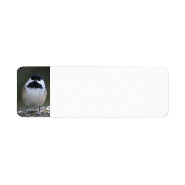 Rücksendekennzeichen für Chickadee (Vorne)