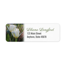 Rücksendekennzeichen für weiße Tulips