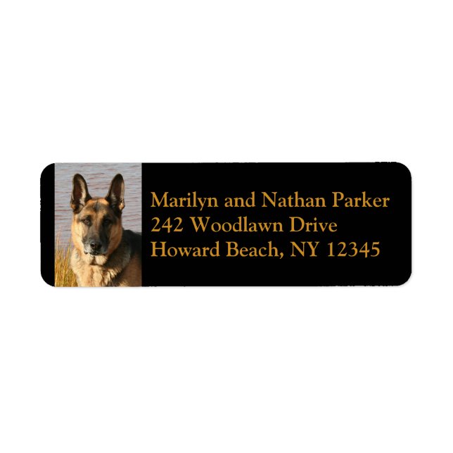 Rücksendesiegel für den Hundehund (Vorne)