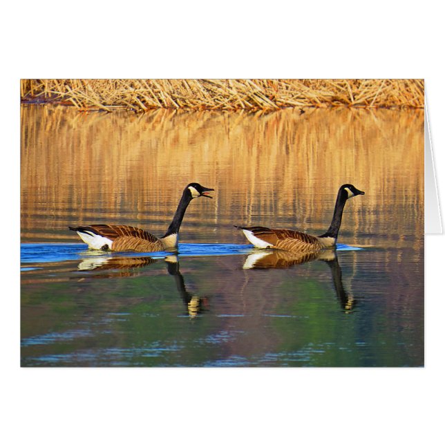 Rücksitztreiber (Vorderseite (Horizontal))