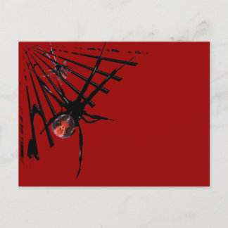 Rückspinne Postkarte