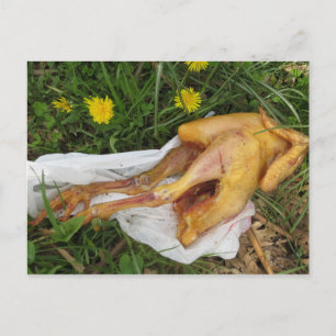 Rückwurfhähnchen Postkarte