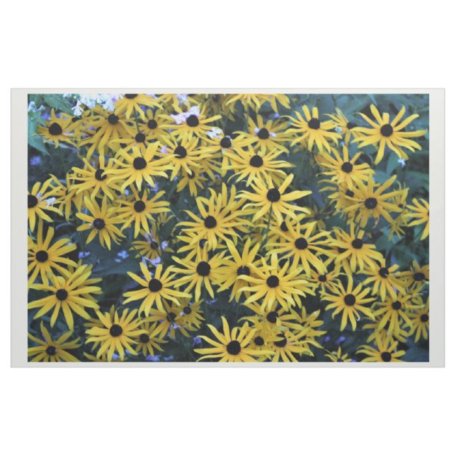 Rudbeckia Black Mit Augen Susans Full Foto Stoff (Yard (91,4 cm))