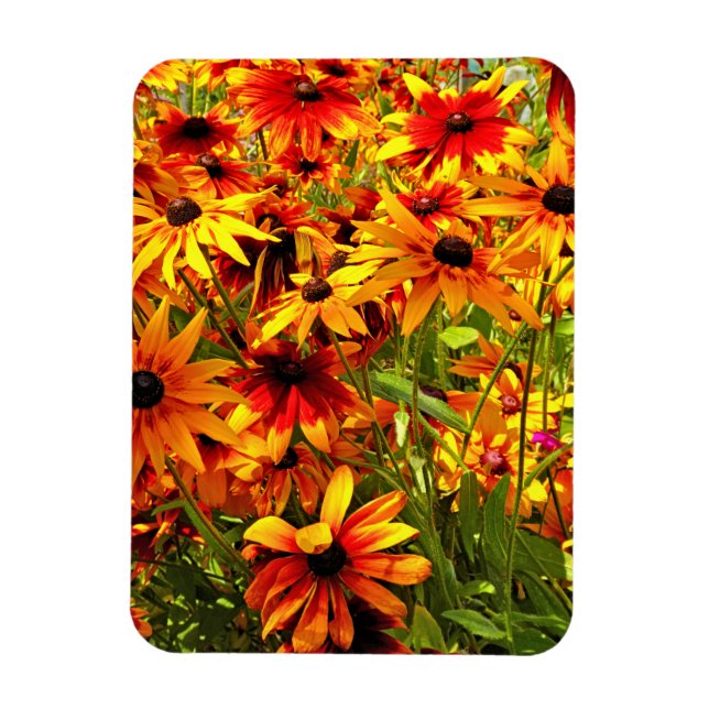 RUDBECKIA-BLUME MAGNET (Vertikal)