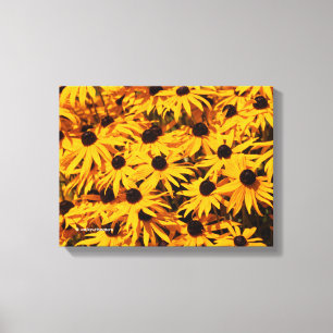 Rudbeckia Fulgida / Orange Coneflower Leinwanddruck