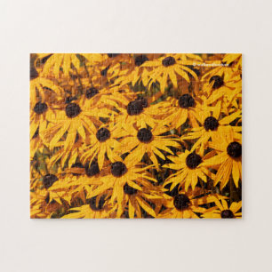 Rudbeckia Fulgida / Orangenblume Puzzle