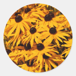 Rudbeckia Fulgida / Schwarz-Mit Augen Susans Runder Aufkleber