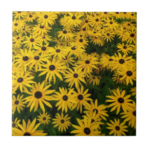 Rudbeckia Hirta (Schwarze mit Augen Susans) Fliese