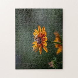 Rudbeckia Sitting Pretty Puzzle