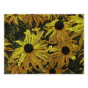 RUDBECKIAS FOTODRUCK