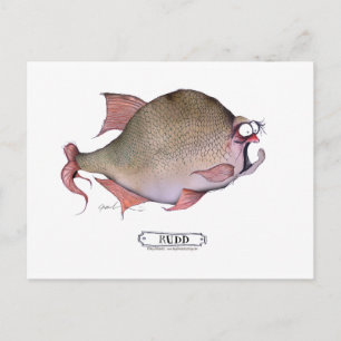 Rudd fish, tony fernandes postkarte