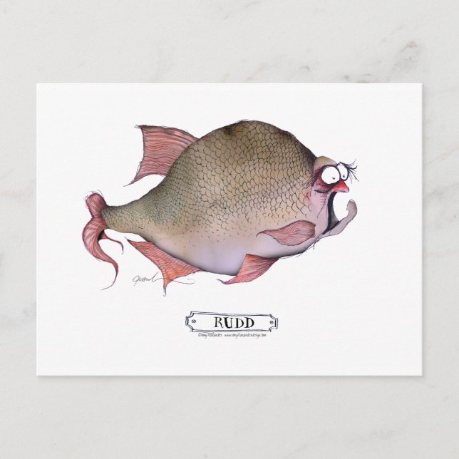 Rudd fish, tony fernandes postkarte (Vorderseite)
