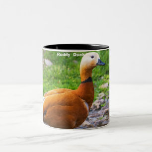 Ruddy Duck Zweifarbige Tasse