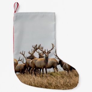 RUDel HIRsche Kleiner Weihnachtsstrumpf