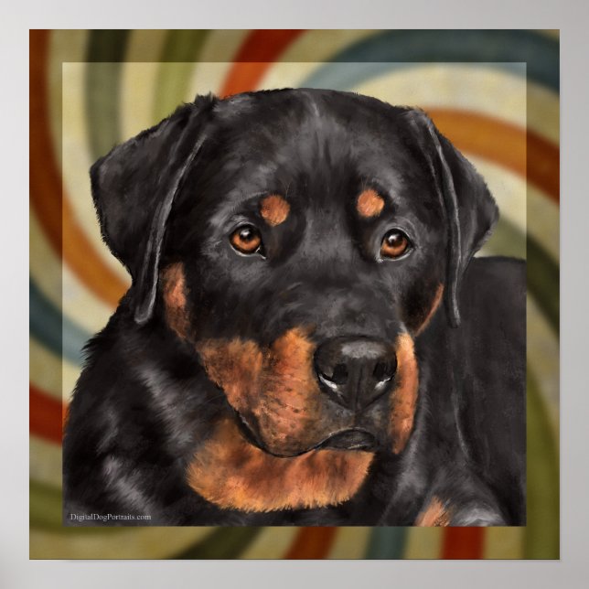 Ruder Poster (Vorne)