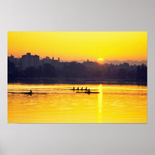 Ruderübungen bei Sonnenuntergang Poster