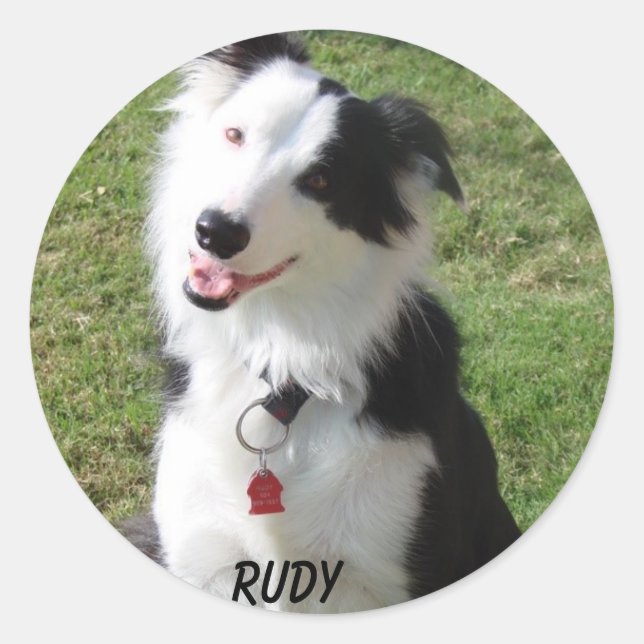 RUDY RUNDER AUFKLEBER (Vorderseite)