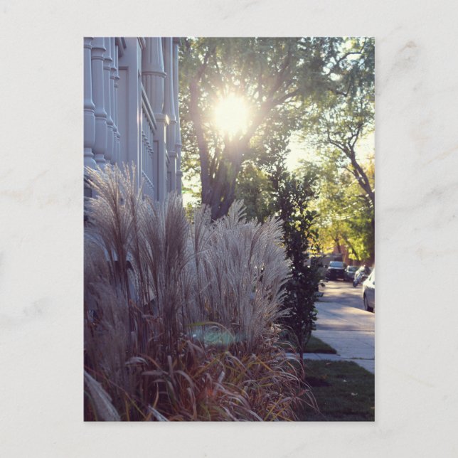 Rue Théodore Postkarte (Vorderseite)