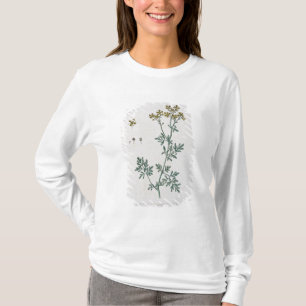 Rue, überziehen 7 von "einem neugierigen Kräuter T-Shirt