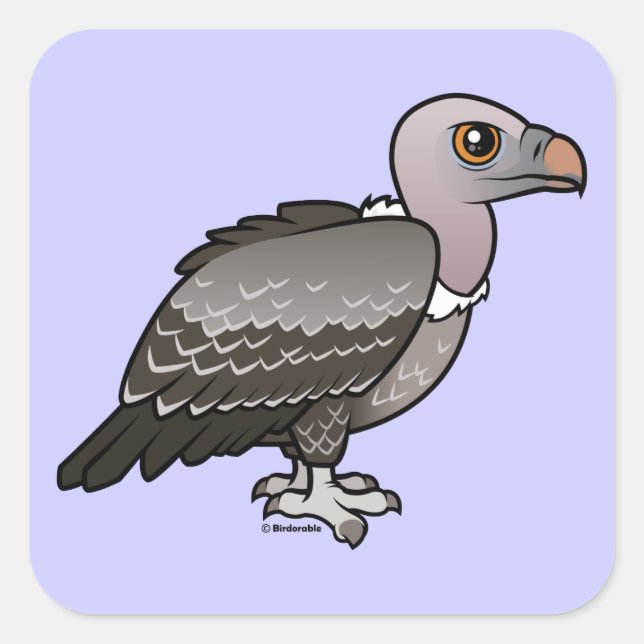 Rueppells Geier Quadratischer Aufkleber (Vorderseite)