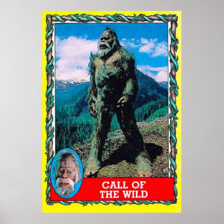 Ruf des Wilden Harry und der Hendersons Poster