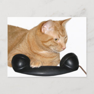 Ruf mich an postkarte