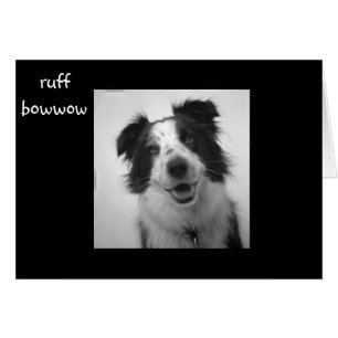 RUFF BOWWOW "40. GEBURTSTAG"