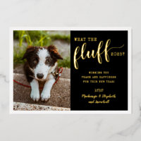 Ruff Jahr 2025 Was das Fluff Funny Dog Foto Real