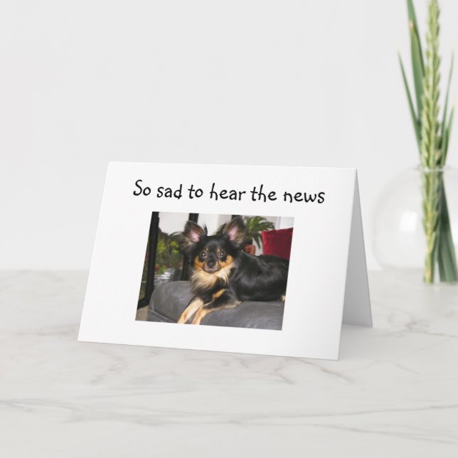 RUFF TURNING 40! BIRTHDAY CARD KARTE (Vorderseite)