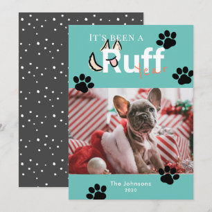 Ruff Year Turquoise Blue Dog Foto Weihnachten