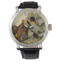 Ruffed Grouse Audubon Game Bird