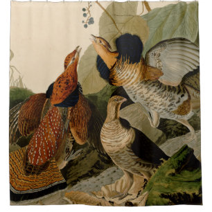 Ruffed Grouse Audubon Game Bird Duschvorhang