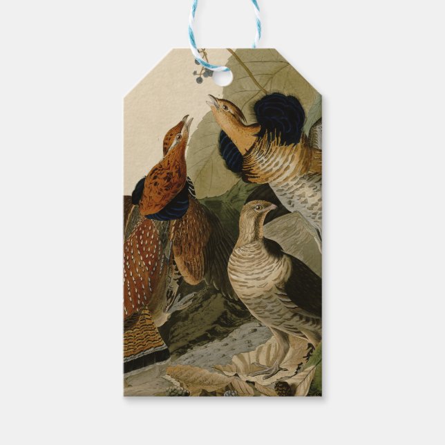 Ruffed Grouse Audubon Game Bird Geschenkanhänger (Vorderseite)