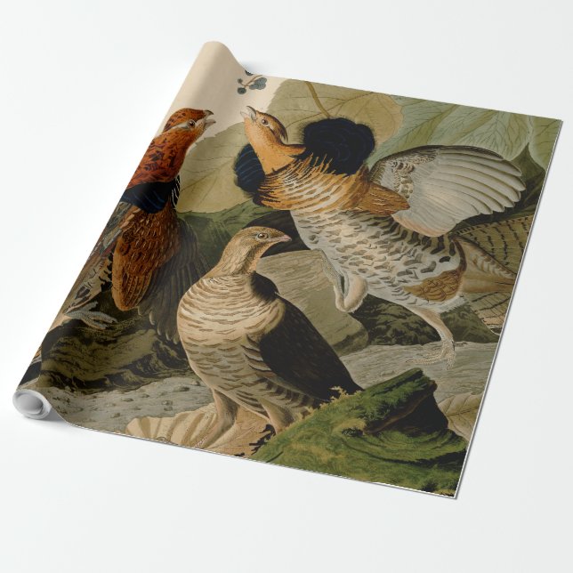 Ruffed Grouse Audubon Game Bird Geschenkpapier (Ungerollt)