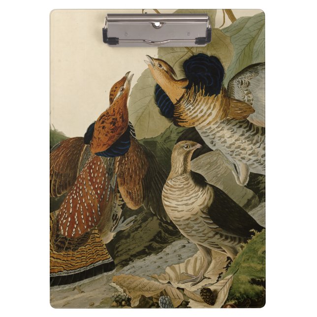 Ruffed Grouse Audubon Game Bird Klemmbrett (Vorderseite)