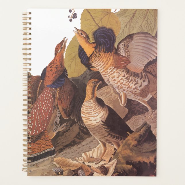 Ruffed Grouse Audubon Game Bird Planer (Vorderseite)