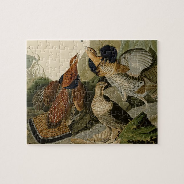 Ruffed Grouse Audubon Game Bird Puzzle (Horizontal)