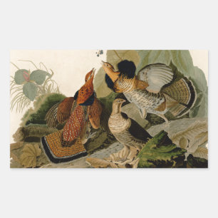 Ruffed Grouse Audubon Game Bird Rechteckiger Aufkleber